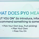 what-does-pyo-mean