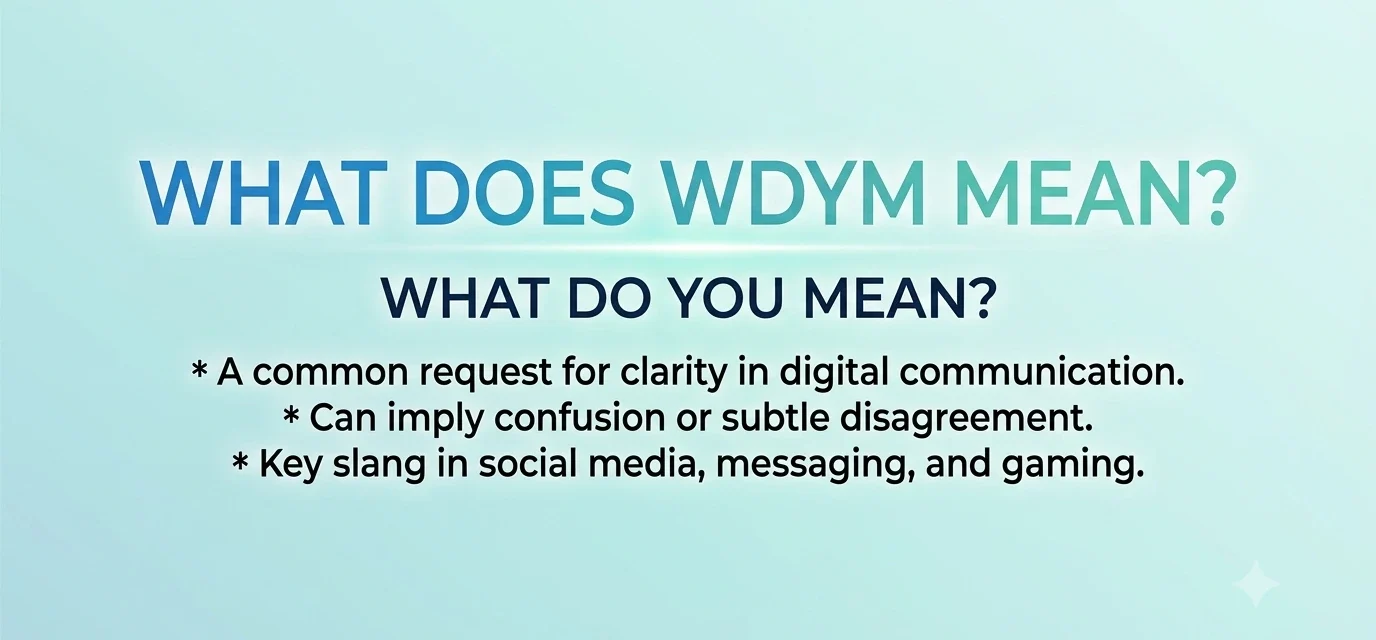 what-does-wdym-mean