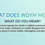 what-does-wdym-mean