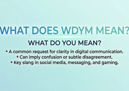 what-does-wdym-mean