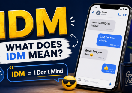 what-does-idm-mean