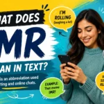 what-does-imr-mean