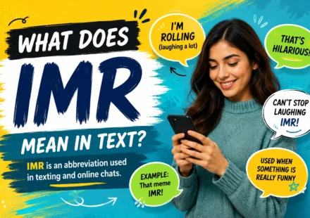 what-does-imr-mean