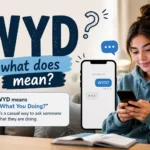 what-does-wyd-mean